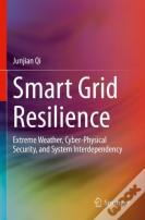 Smart Grid Resilience