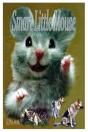 Smart Little Mouse - Preview