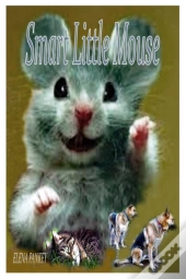 Smart Little Mouse