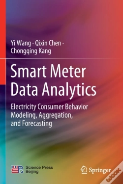 Capa do artigo Smart Meter Data Analytics