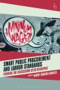 Smart Public Procurement And Labour Standards - Preview