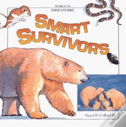 Capa do artigo Smart Survivorsworld Of Discopb