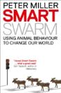 Smart Swarm - Preview