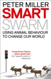 Capa do artigo Smart Swarm