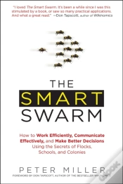 Capa do artigo Smart Swarm