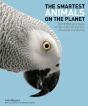 Smartest Animals On The Planet - Preview