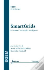 Smartgrids Les Reseaux Electriques Intelligents Traite Egem Serie Genie Electrique