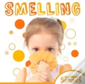 Capa do artigo Smelling