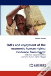 Smes And Enjoyment Of The Economic Human Rights