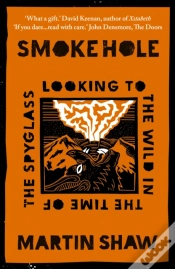 Capa do artigo Smoke Hole