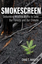 Capa do artigo Smokescreen