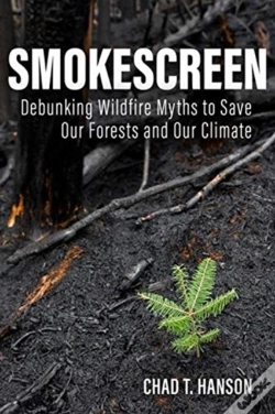 Capa do artigo Smokescreen