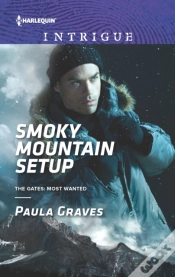 Capa do artigo Smoky Mountain Setup