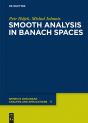 Smooth Analysis In Banach Spaces - Preview