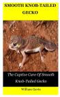 Smooth Knob-Tailed Gecko - Preview