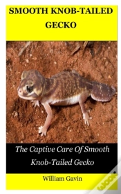Capa do artigo Smooth Knob-Tailed Gecko