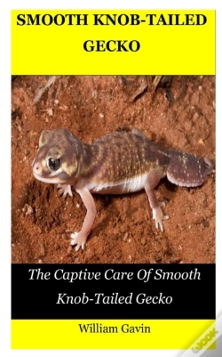 Capa do artigo Smooth Knob-Tailed Gecko