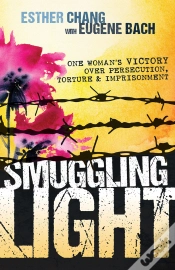 Capa do artigo Smuggling Light