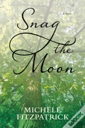 Capa do artigo Snag The Moon