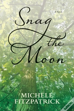 Capa do artigo Snag The Moon