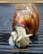 Snail - Preview