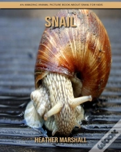 Capa do artigo Snail