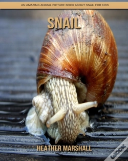 Capa do artigo Snail