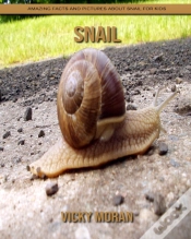 Capa do artigo Snail