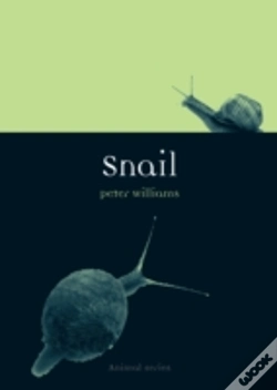Capa do artigo Snail