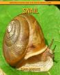 Snail - Preview