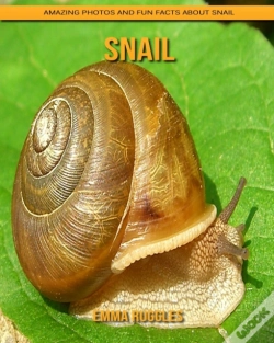 Capa do artigo Snail