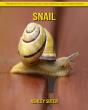 Snail - Preview