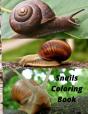 Snails Coloring Book - Preview