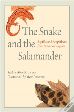 Capa do artigo Snake And The Salamander