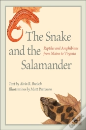 Capa do artigo Snake And The Salamander