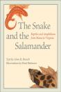 Snake And The Salamander - Preview