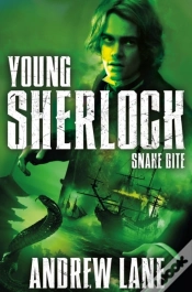 Capa do artigo Snake Bite