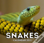 Capa do artigo Snake Calendar 2021
