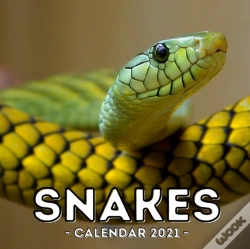 Capa do artigo Snake Calendar 2021