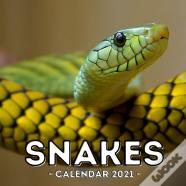 Snake Calendar 2021