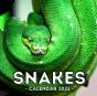 Snake Calendar 2021 - Preview