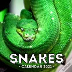 Capa do artigo Snake Calendar 2021
