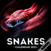 Capa do artigo Snake Calendar 2021