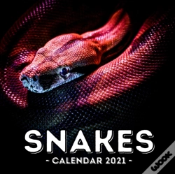 Capa do artigo Snake Calendar 2021