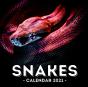 Snake Calendar 2021 - Preview