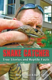 Capa do artigo Snake Catcher