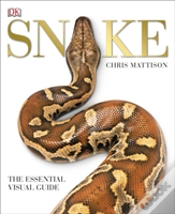 Capa do artigo Snake