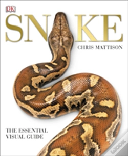 Capa do artigo Snake