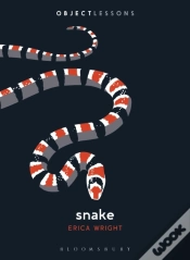 Capa do artigo Snake