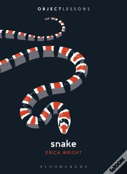 Capa do artigo Snake